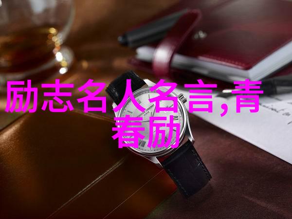 贝纳文特名言