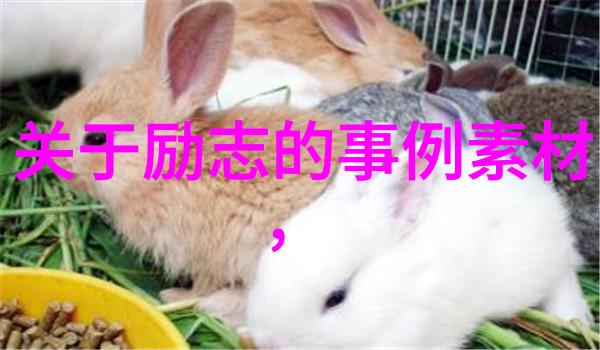 邱吉尔名言