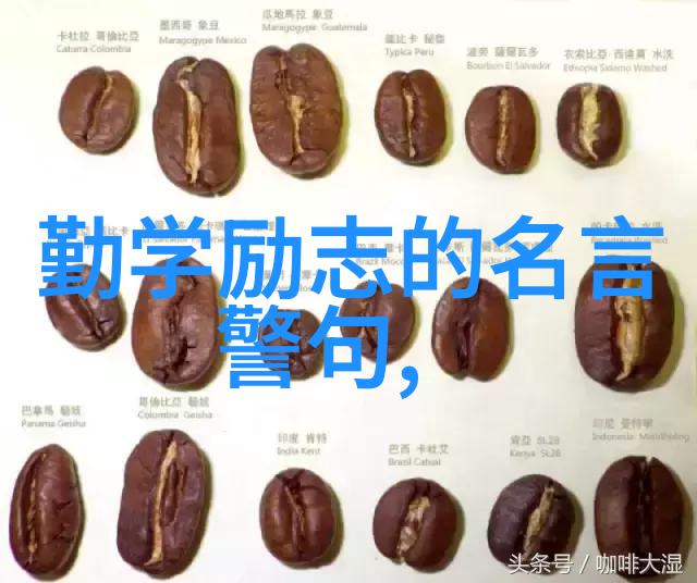 蔡锷名言名句