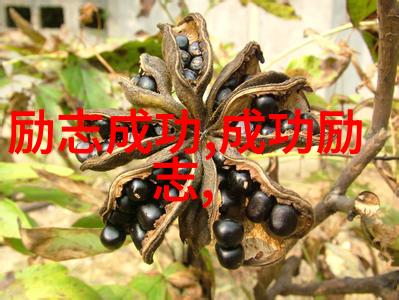 陈安之下定决心成功第一秘决