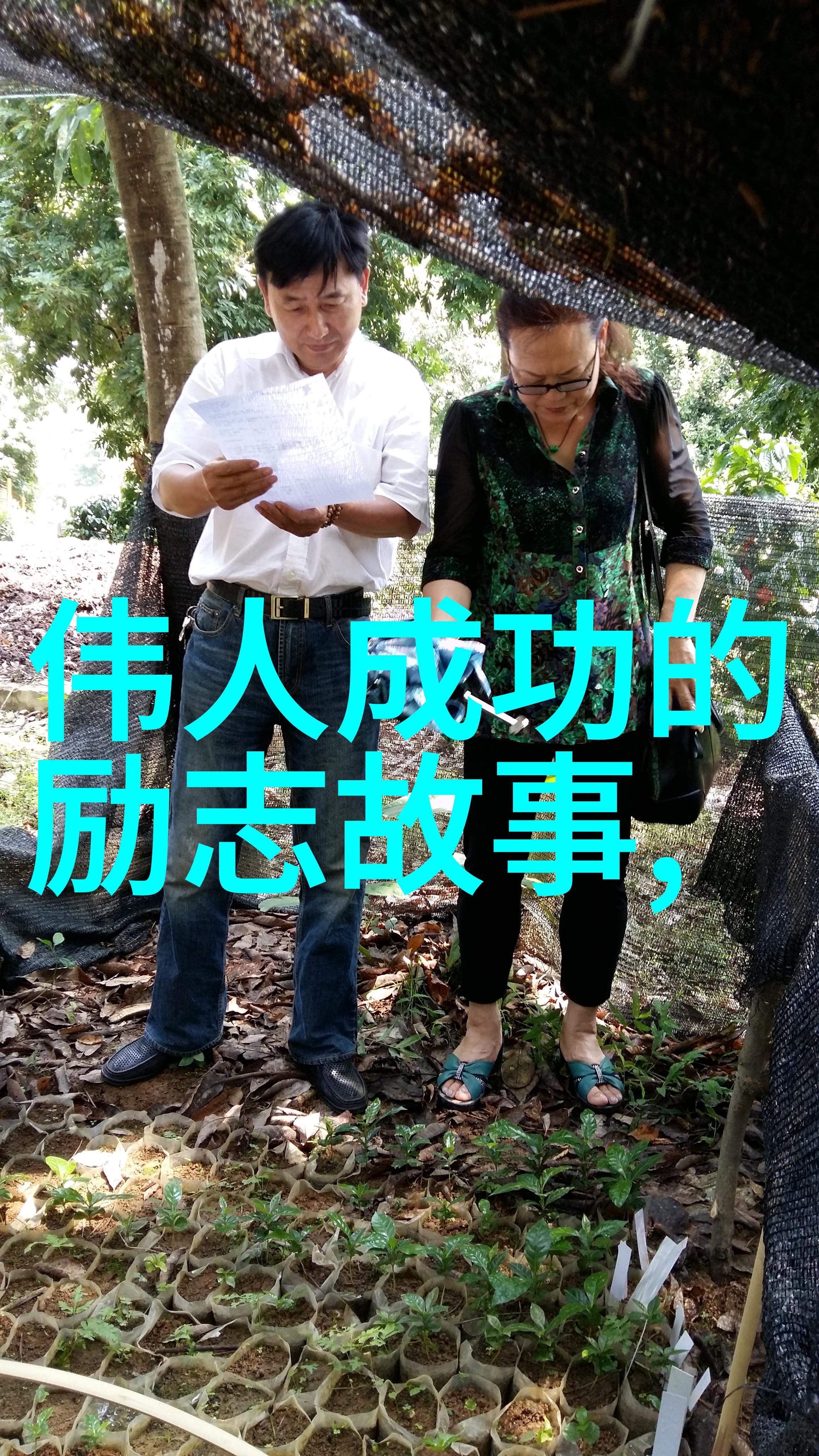 被习惯锁定的行动轨道