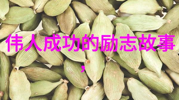 追逐成功三要素