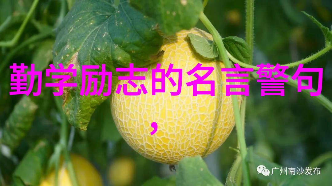 查尔斯兰姆名言