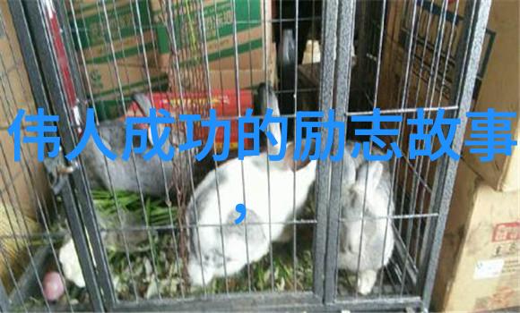 追寻人生新方向的10种方法