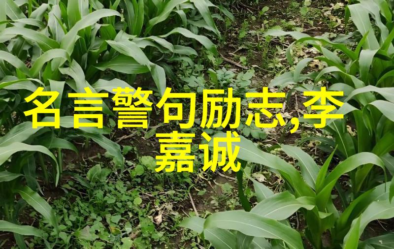 医院服务格言