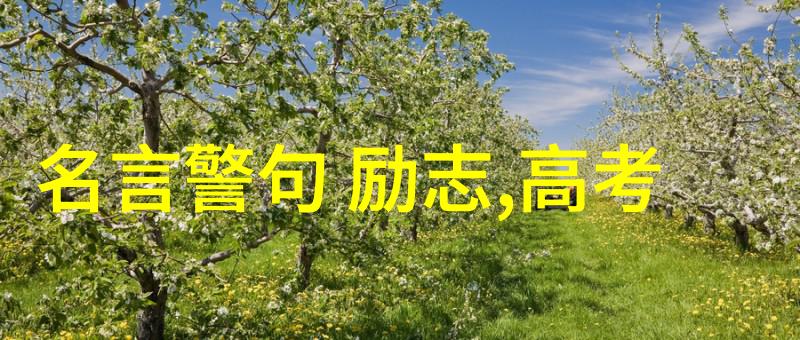 关于对手的名言